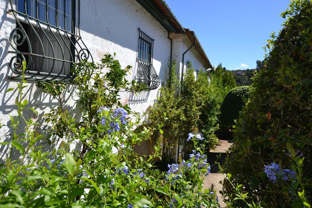 Casa Do Campo - Turismo De Habitacao Bed & Breakfast Celorico De Basto Exterior photo